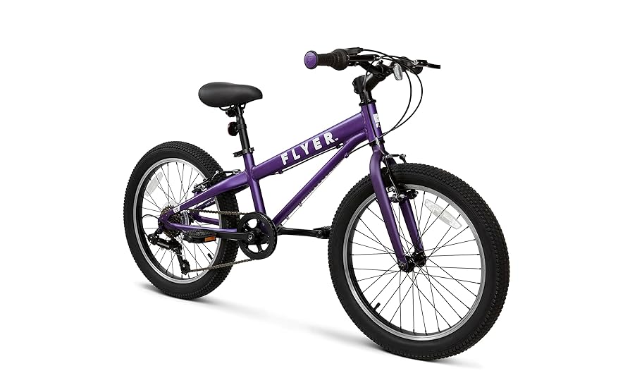 Amazon.com: Flyer™ 20” Kids' Bike, Purple Toddler and Kids